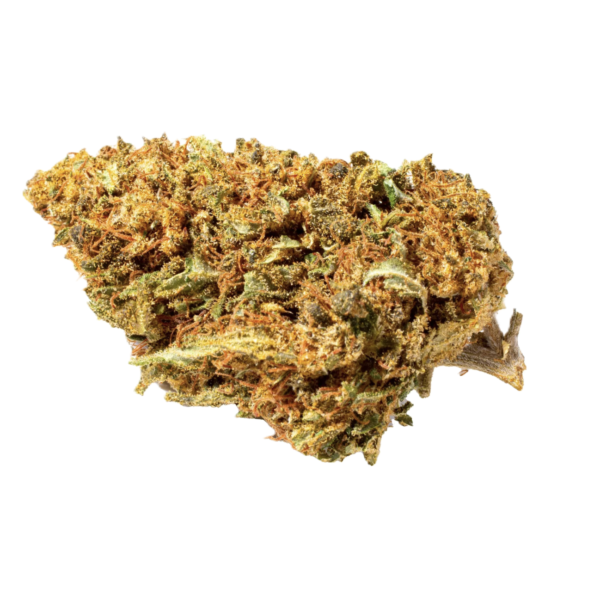 Orange-Bud (glowhouse)