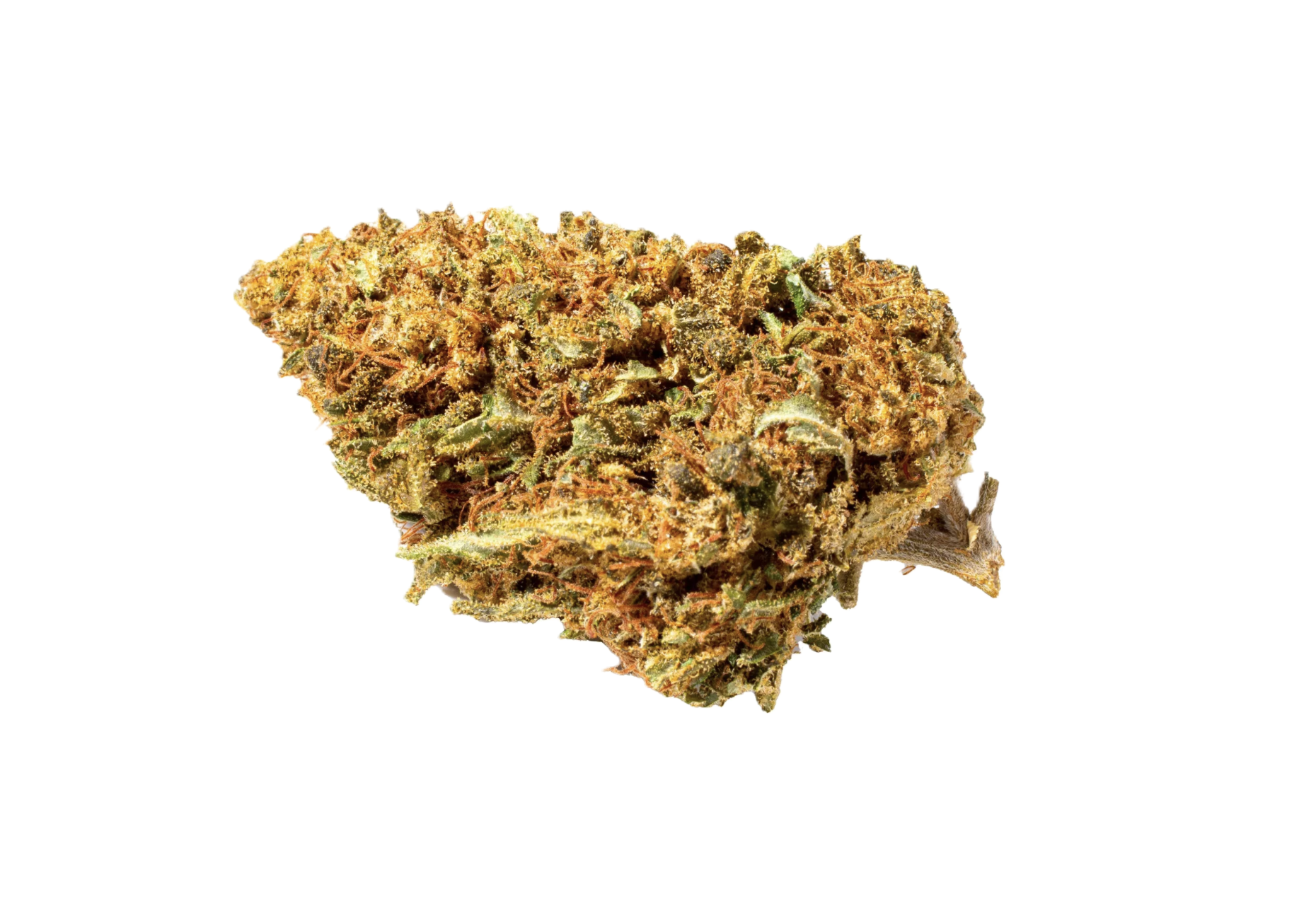 Orange-Bud (glowhouse)